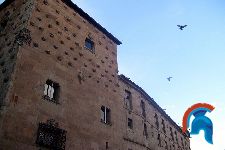 Casa de las Conchas Salamanca