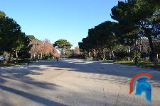 Paseo de Coches