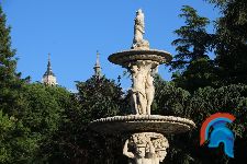 Visita Guiada Campo del Moro