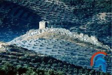 Castillo de la Encomienda de Víboras