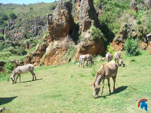 Minas de hierro Cabárceno