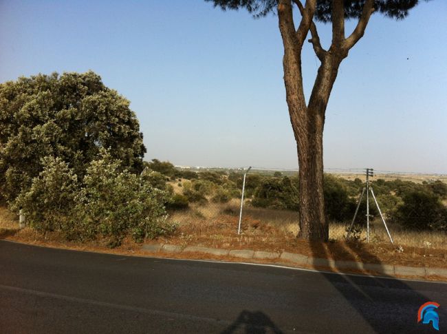 Cerro del Mosquito GCE