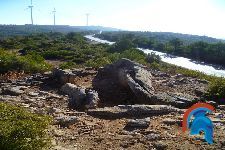 sepulcro megalítico de les maioles   (19).jpg