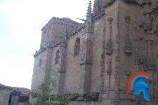 catedral nueva de salamanca (11).jpg