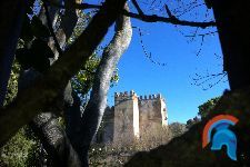 castillo de malpica del tajo (1).jpg