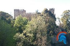 castillo de malpica del tajo (4).jpg
