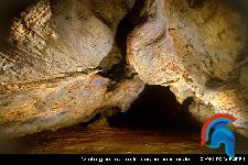 La Cueva de Covalanas
