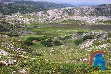 covadonga-15.jpg